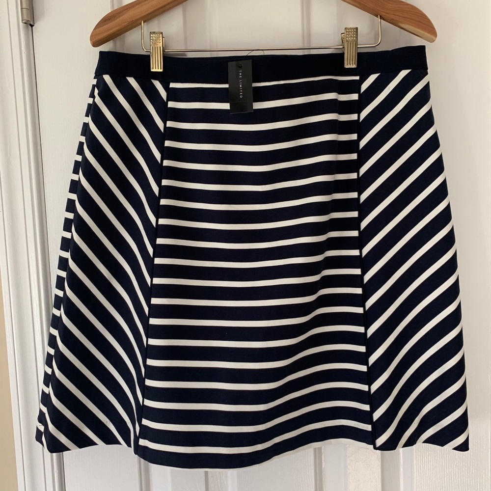 The Limited Striped Skirt
